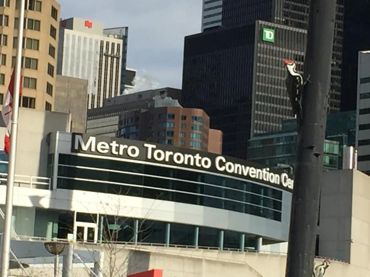 Condo Overlooking Cn Tower, Rogers, Islands Toronto Canada
